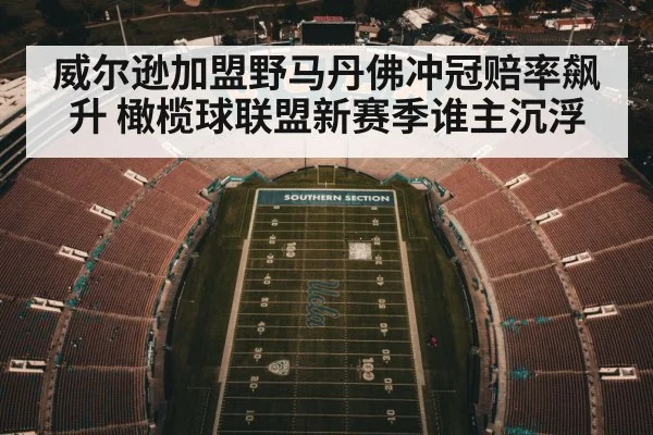 威尔逊加盟野马丹佛冲冠赔率飙升 橄榄球联盟新赛季谁主沉浮